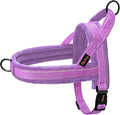 Didog Soft Flannel Padded Dog Vest Harness, No Pull/Quick Fit Reflective Dog Strap Harness, Easy for Training Walking (M:Chest 21-26", Purple)