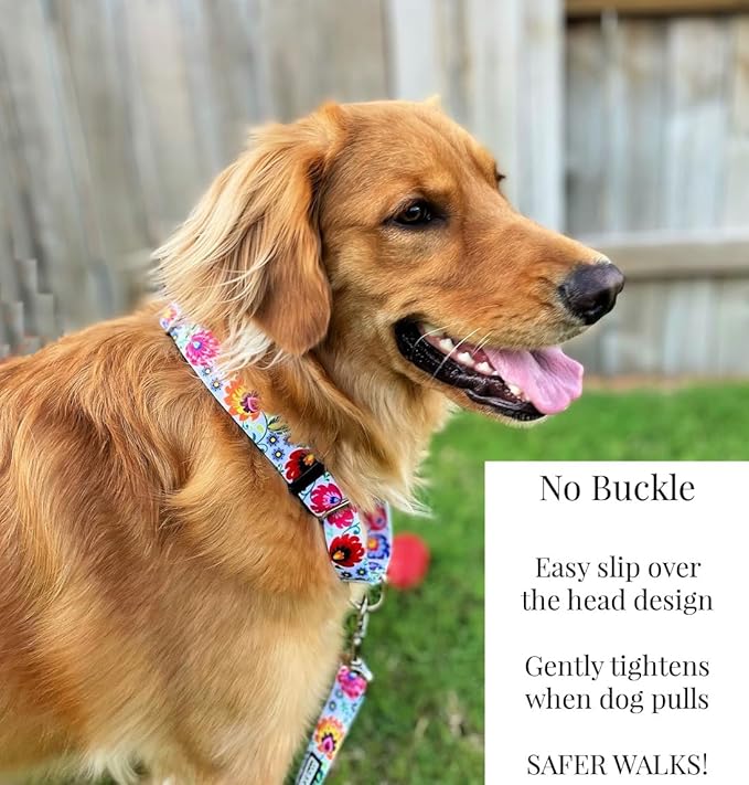 Lucky Love Dog Martingale Dog Collar & Leash - Adjustable, No-Slip, Durable, Comfortable, Soft Webbing, & Stylish Patterned Collar & Leash Set for Male and Female Dogs - Ladybird Combo, Large
