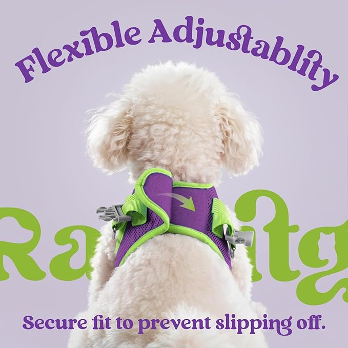 rabbitgoo Dog Harness Small Sized and Leash Set, Step-in Breathable Pet Harness, Soft Walking Reflective Puppy Vest for Small Dogs, Purple & Green, XS
