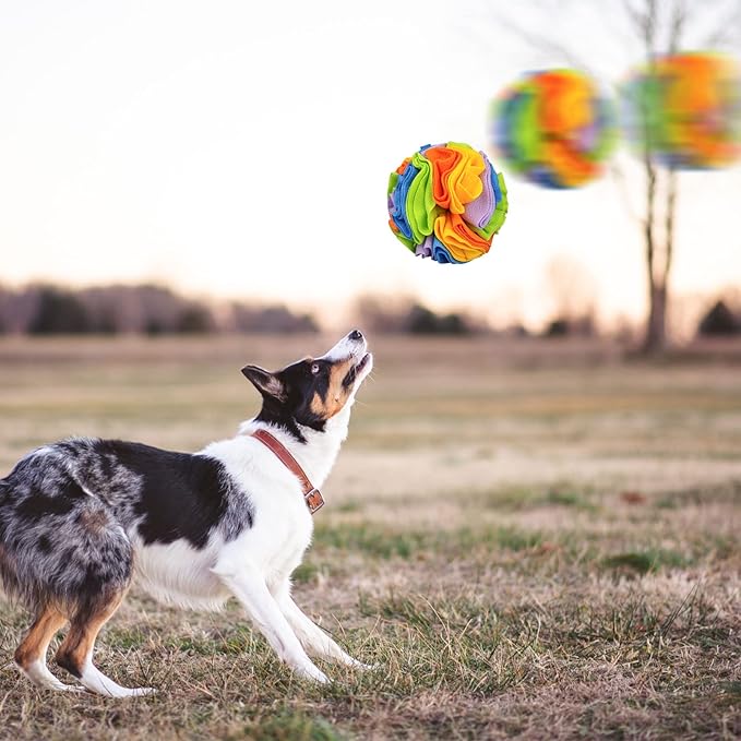 WishLotus Snuffle Ball (Rainbow), Interactive Pet Toy for Dogs, Slow Feeder, Stress Relief, Exercise Toy for Small/Medium Breeds