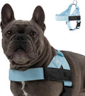 DF Co. Dog Harness | Chafe Resistant Webbing, Adjustable Neck & Chest, and Heavy Duty D-Ring | Sturdy, Comfortable, Easy to Use | Sky Blue, Size L