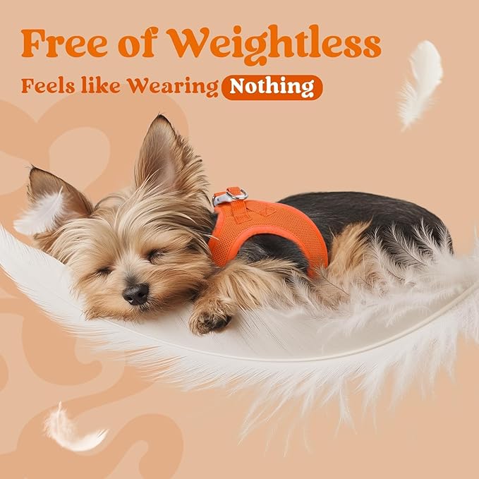 rabbitgoo Small Dog Harness, Step-in Soft Mesh Puppy Vest with Safety Buckle, Breathable Reflective Pet Harness for Large Dogs, Orange XXL