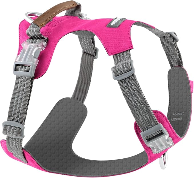 No Pull Dog Harness – Adjustable Reflective Nylon Vest for Small Medium Large Dogs, Escape Proof Training Harness with Leather Control Handle, Lightweight Aluminum Hardware (Hot Pink, S)