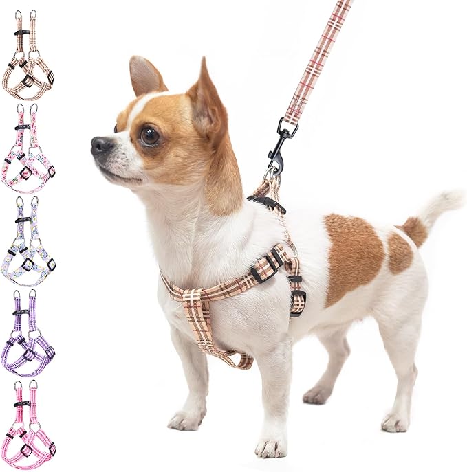 BEAUTYZOO No Pull Dog Harness and Leash Set - Adjustable Step-in Puppy Harness for Small Medium Large Dogs, Escape Proof Soft Nylon Vest with Double D Ring for Walking Running Training, Beige XS