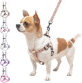 BEAUTYZOO No Pull Dog Harness and Leash Set - Adjustable Step-in Puppy Harness for Small Medium Large Dogs, Escape Proof Soft Nylon Vest with Double D Ring for Walking Running Training, Beige XS