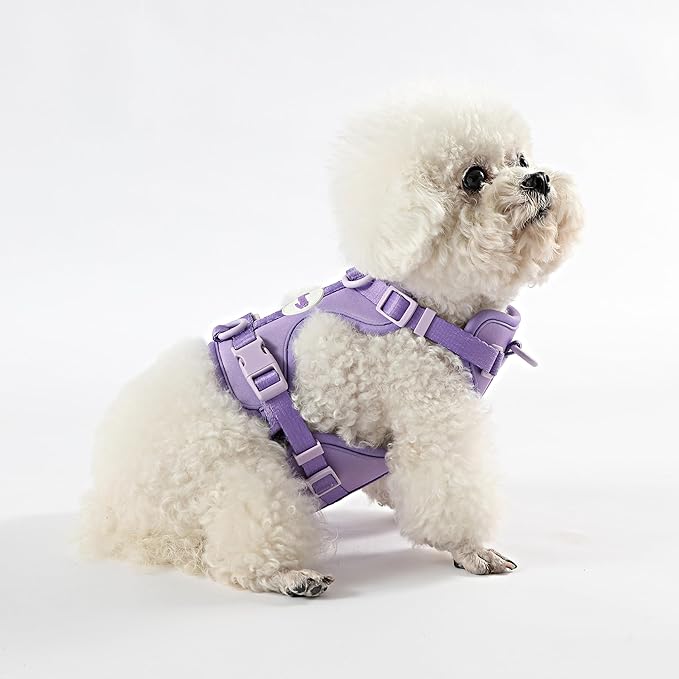 HNS1000H Arlo Extra Small Adjustable Soft Padded No Pull Pet Harness with 3 Buckles and 3 Leash Clips, Bramble