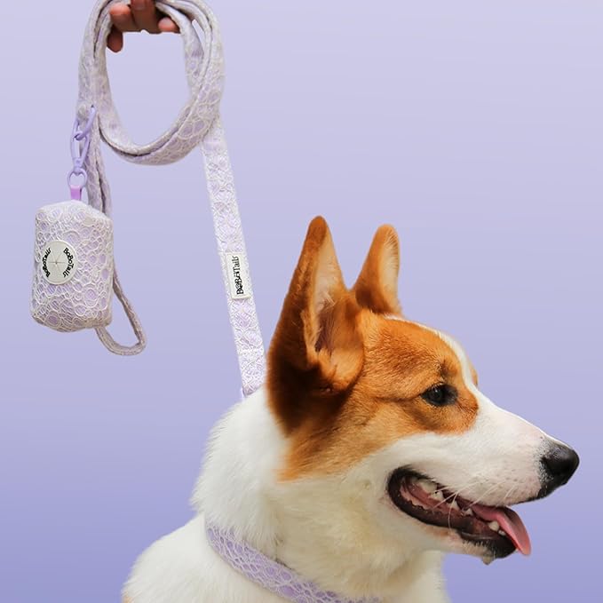 5 FT Stylish Dog Leash, Soft Dog Leashes with Comfortable Padded Handle, Metal Carabiner Clip, Strong No Pull Pet Leash for Small Medium Dogs for Walking, Shopping and Running