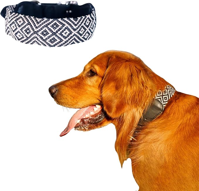 Eternia Premium Leather Dog Collar - Adjustable Handcrafted Collar for Small to Large Dogs (Black/White, XL)
