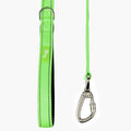 DF Co. Close Control Short Trainer Dog Leash | Strain Free & Shock Resistant, Durable Material, 65cm in Length, Heavy Duty Clips & D-Ring (Green, Regular)