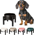 Raised Ceramic Dog Bowl - Elevated Food Water Dish with Stainless Steel Stand - for Small to Medium Dogs - 6 Inch - 2 Cups (28.75 fl oz) - Black