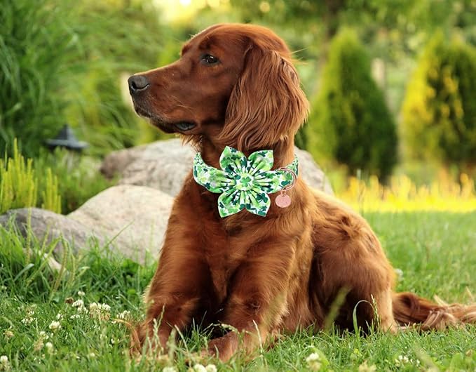 DOGWONG St. Patrick's Day Dog Collar-Cute Clovers Dog Collar with Flower, Cotton Trefoil Bowtie Dog Collars with Metal Buckle for Small Medium Large Dogs