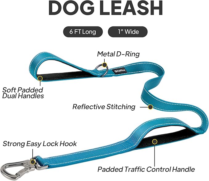 PetiFine 6FT Heavy Duty Dog Leash with Soft Padded Double Handle, Durable Strong Clasp Dog Leashes, Reflective Nylon Walking Lead for Large,Medium,Small Breed Dogs, Blue