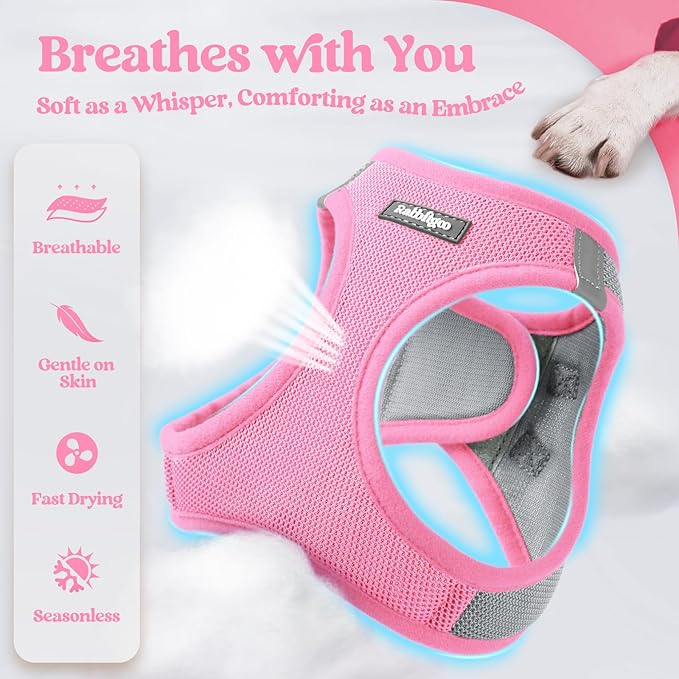 rabbitgoo Dog Harness Small Sized and Leash Set, Step in Soft Light Puppy Vest, Breathable Mesh Pet Harness, Reflective for Safe Easy Walking, Pink & Gray M