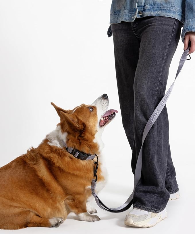 2026 New Edition, Fei & Eve MagEase Dog Collar - Patented Magnetic Buckles | Fur-Safe | Premium 210D Nylon | 450LB Escape-Proof | Adjustable Fit | Large (Twilight Gray)