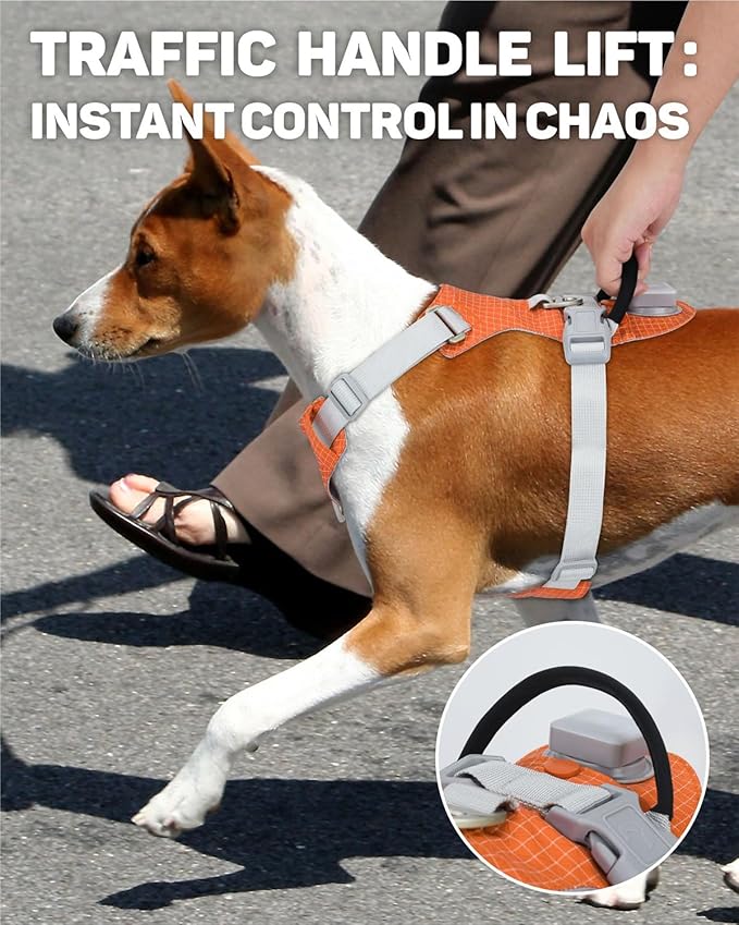 TagME No Pull Dog Harness with 2 Leash Clips,Lightweight & Visible for All-Day Walking,No Choke Pet Vest Includes AirTag Holder for Small Dogs,Flare Orange