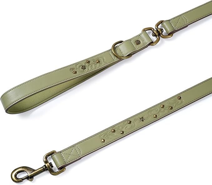 Blueberry Pet Premium Embossed Sage Green Glam Microfiber Leather Dog Leash with Antique Brass Studs