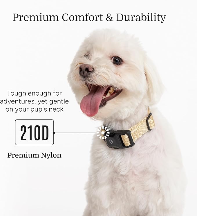 2026 New Edition, Fei & Eve MagEase Dog Collar - Patented Magnetic Buckles | Fur-Safe | Premium 210D Nylon | 450LB Escape-Proof | Adjustable Fit | Small (Champagne)