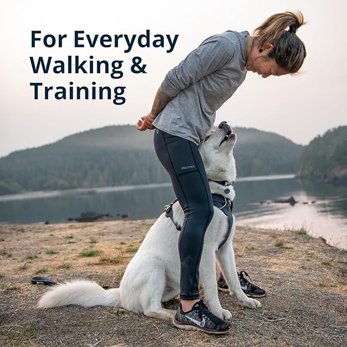 Ruffwear, Front Range Dog Harness, Reflective Soft Padded Everyday Harness with Dual Leash Clips, Adjustable and Lightweight Fit for Training or Walking for All Dogs, Red Canyon, Small