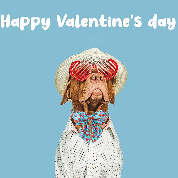 DOGWONG Valentine Dog Collar with Bow, Blue Heart Dog Collar Durable Soft Cotton Pet Dog Collar Cute Heart Valentines Day Puppy Necklace for Small Medium Large Dog