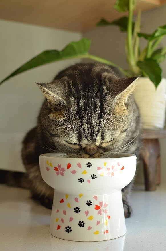 Necoichi Elevated Cat Water Bowl – Ceramic Raised Cat Bowl, Prevents Neck & Whisker Fatigue – Dishwasher & Microwave Safe – Pet Water Bowl for Cats (Sakura Floral, Extra Tall)