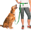 The Buddy System Hands Free Dog Leash, Adjustable Leash for Running, Jogging, Training and Service Dogs, Great for Small, Medium and Large Dogs, Made in USA (Green, Regular Belt (22"- 40" Waist))