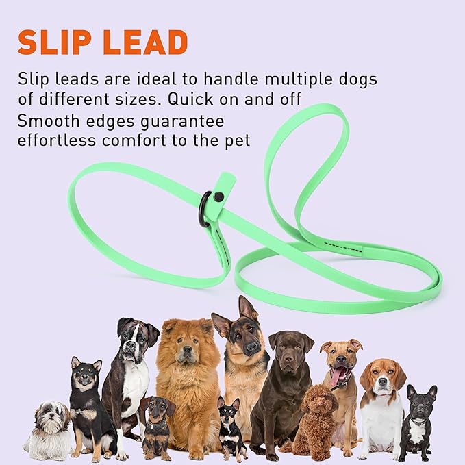 Dogline Biothane Slip Dog Leash - for Small, Medium and Large Dogs - Odor Free Slip Lead, Heavy Duty and Durable Material Kennel Lead - Sea Foam Green - 5ft L x 3/8in W