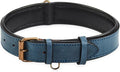 Real Leather Dog Collar Padded Soft Interiors with Premium Vintage Look Handcrafted Heavy Duty with Tag Ring for Small Medium and Large Pets (Large (1.5" Wide for 16.5" - 20.5" Neck), Ocean Blue)