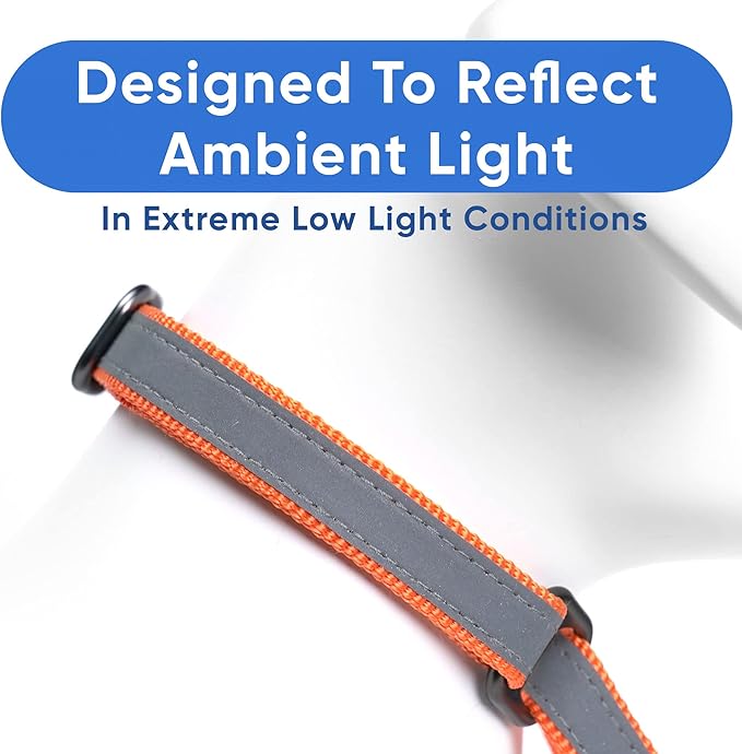 Pawtitas Orange Reflective Martingale Dog Collar, Small