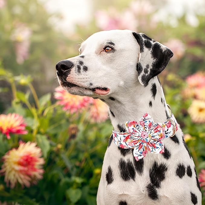 Lionheart Glory Floral Dog Collar - Soft, Durable & Adjustable for Large Dogs