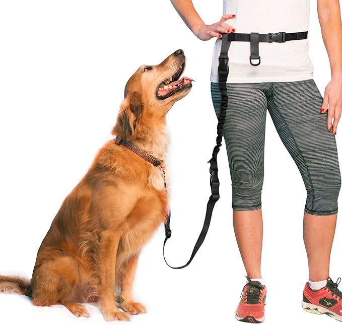 The Buddy System Adjustable Hands Free Dog Leash for Running, Jogging and Training Service Dogs Made in USA (Large Belt (27"- 50" Waist), Bundle Leash + Lunge Buster)