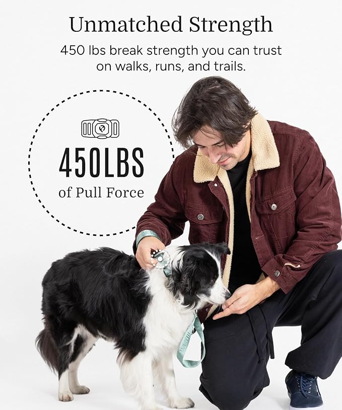 2026 New Edition, Fei & Eve Classic Dog Collar - Quick Release Metal Buckles | Fur-Safe | Premium 210D Nylon | 450LB Escape-Proof | Adjustable Fit | Medium (Glacier Green)