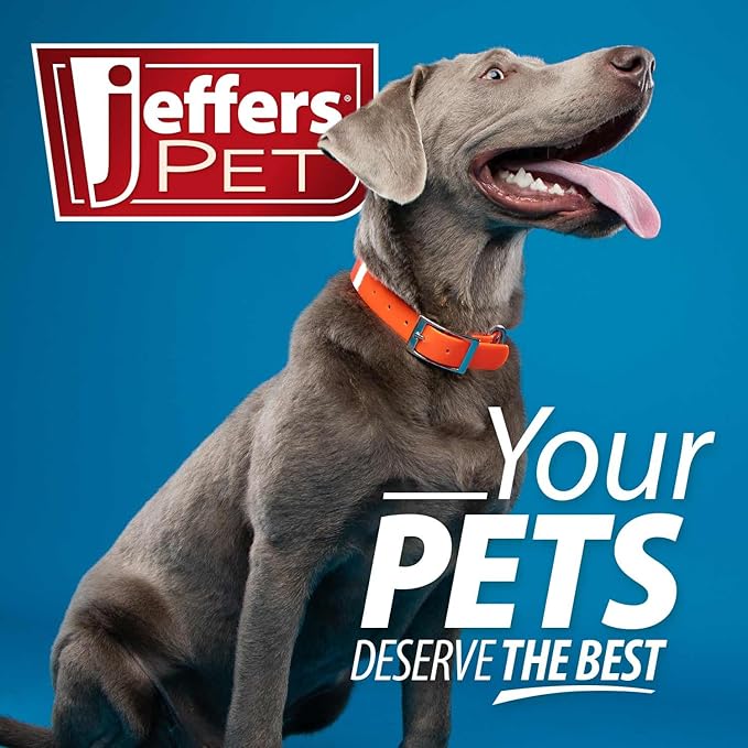 Jeffers Pet Plush Dog Toy with Squeaker, Fuzzy Bear 5" - Soft Crinkle Fabric, Safe & Durable, Healthy Fun for Small & Medium Dogs, Interactive Play, Fetch, Tug - Best Gift for Active Games