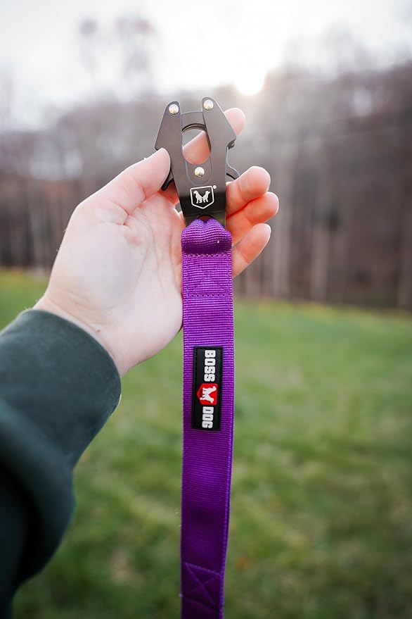Boss Dog Tactical Leash, Purple, 6 FT