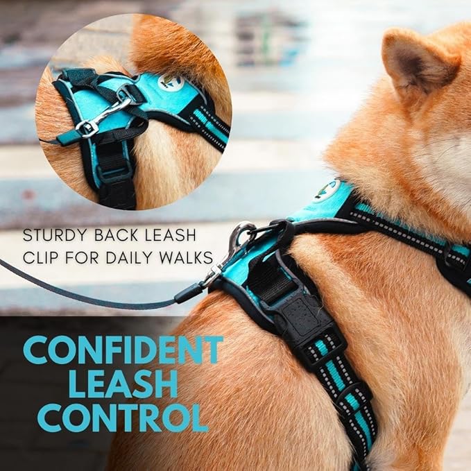 Ziggy Pet Dog Harness Adjustable Nylon Mesh Vest with Leash Clips (Blue, Extra Large)
