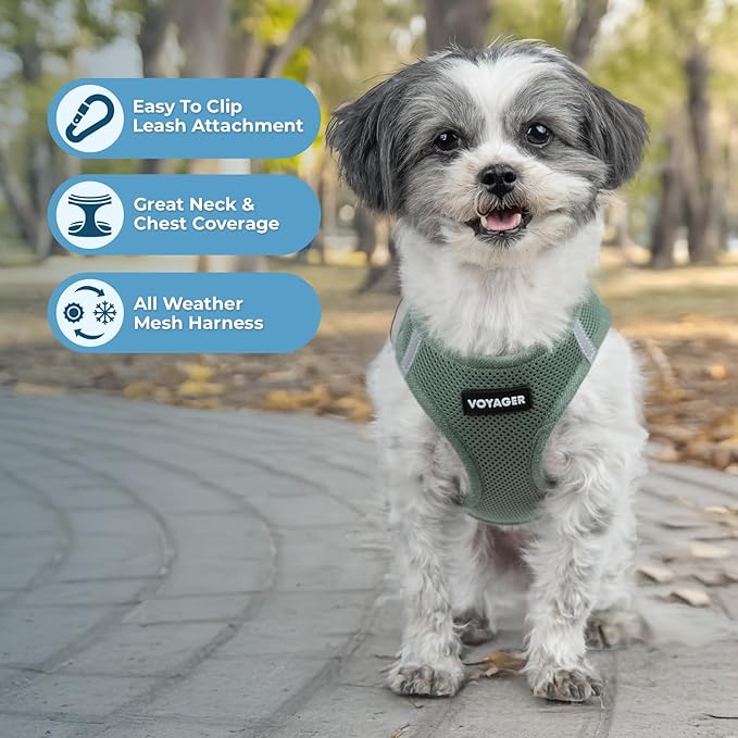 Best Pet Supplies - All Weather Mesh/Plush, Reflective, No Pull Harness for Small, Medium Dogs, Cats - Secure with Hook & Loop Fastener, Buckle, Double D-Rings - Moss Green, XL