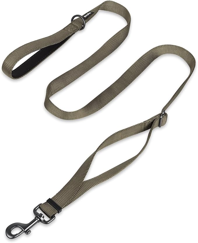 Hyhug Pets Premium Upgraded Adjustable Between 4 Feet and 6 Feet Leash with Sturdy Nylon and Super Soft Neoprene Lined Handle for Small Medium Large Dogs Lead