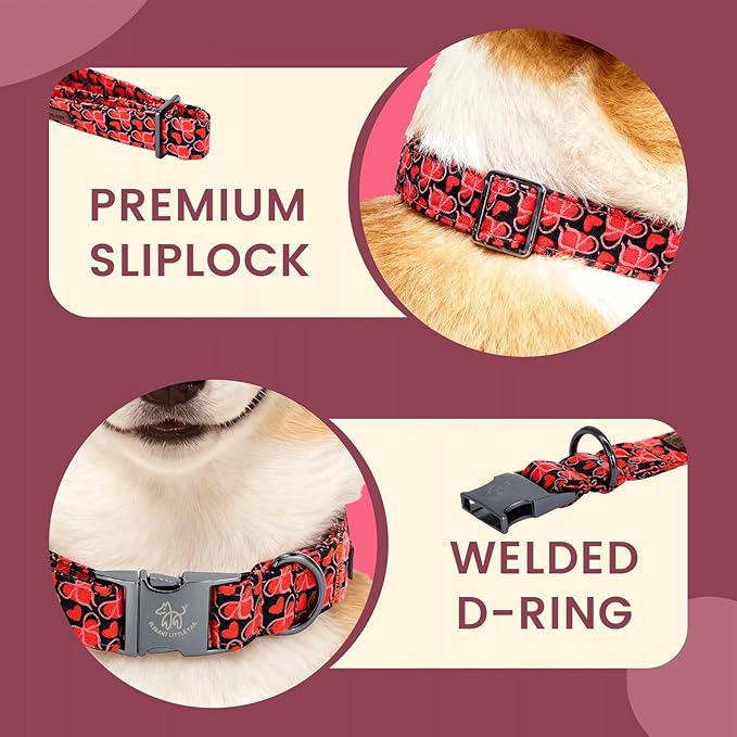 Elegant little tail Valentine's Dog Collar - Red Heart Dog Collars Bowtie Pet Collars with Sturdy Metal Buckle Puppy Adjustable Collar for Small Dogs