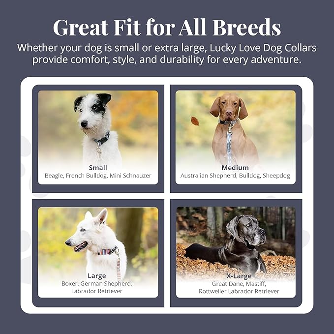 Lucky Love Dog Martingale Dog Collar - Adjustable, No-Slip, Durable, & Soft Webbing Collar for Male and Female Dogs Ideal for Training & Walking - Oscar, Small