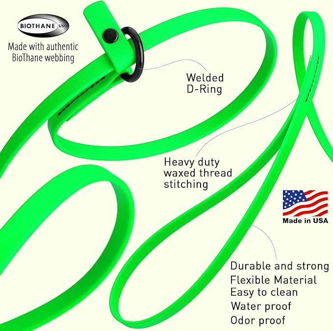 Dogline Biothane Slip Dog Leash - for Small, Medium and Large Dogs - Odor Free Slip Lead, Heavy Duty and Durable Material Kennel Lead - Tropical Green - 5ft L x 3/8in W