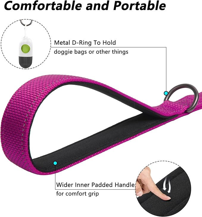 PetiFine 6FT Heavy Duty Dog Leash with Soft Padded Double Handle, Durable Strong Clasp Dog Leashes, Reflective Nylon Walking Lead for Large,Medium,Small Breed Dogs, Rose