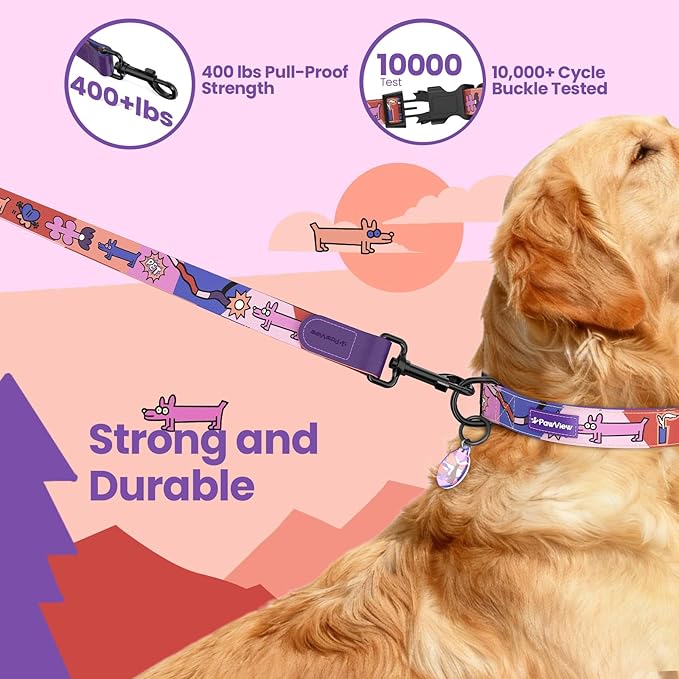 Dog Collar and Leash Set, QR Tag Adjustable Pet Collar, 5 FT Heavy Duty Dog Leash, Padded Handle, Quick Release Buckle, Metal Ring, 360° Swivel Clip for Small Dogs Walking Running (Purple, S)