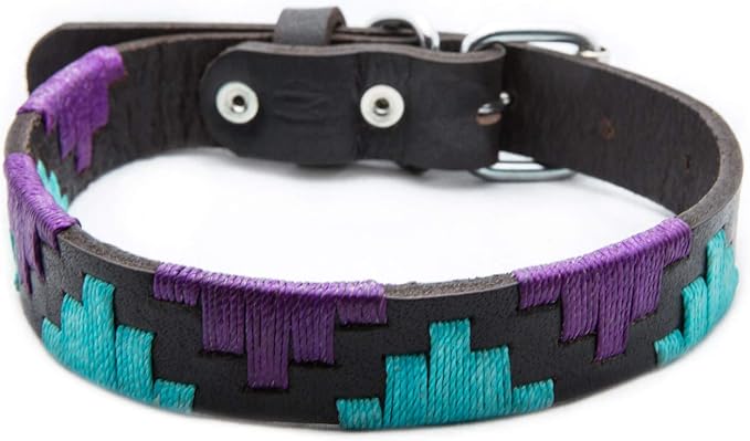 Gaucho Goods Leather Dog Collar (Miami-XS) for Small Dogs