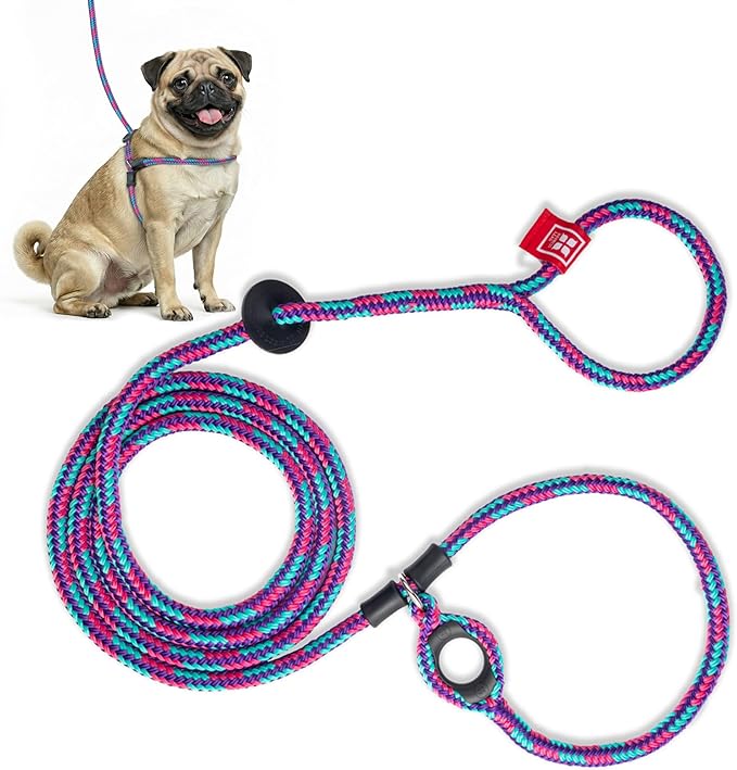Harness Lead No Pull Dog Harness and Leash Set, Anti Pull Dog Harness for All Breeds and Sizes, One-Piece Cushioned Rope Design Safely Prevents Escaping and Pulling (Small/Medium, Reef)