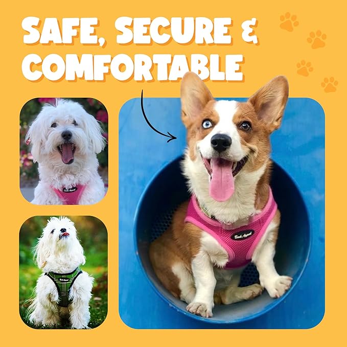 Bark Appeal Black Step-in Dog Harness for XS to Small Sized Pets – Updated Sizing, Re-Measuring is Essential – Soft Vest Harness – Anti-Choke with Adjustable Strap & Heavy Duty Clip – S