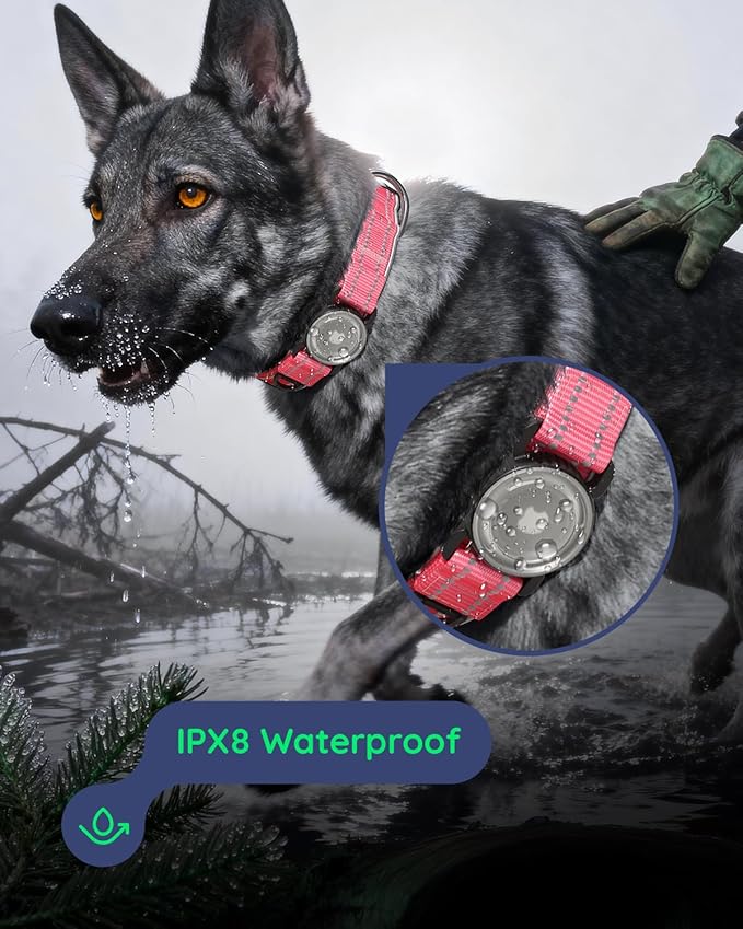 Upgrade Airtag Dog Collar,with IPX8 Waterproof AirTag Holder | Reflective Ultra-Durable | Soft Padded | Lock Buckle | Heavy Duty | Fit Small Medium Large Dogs（Rose1，L(17"～23")）