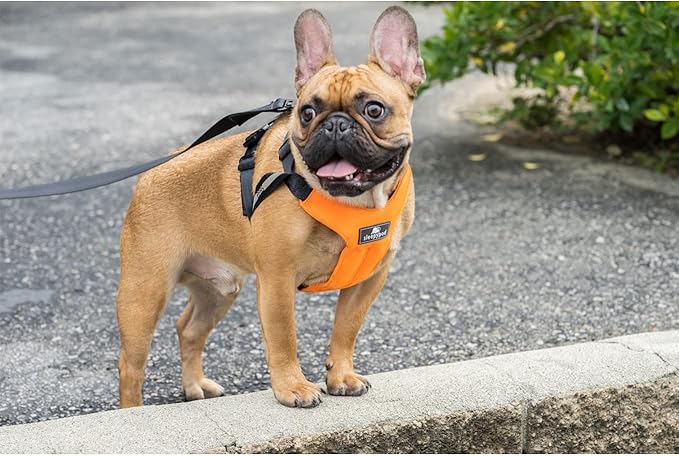 Clickit Sport Plus - Crash-Tested and Safety Certified Car Seat Belt Harness for Dogs (Extra Large, Olive Green)