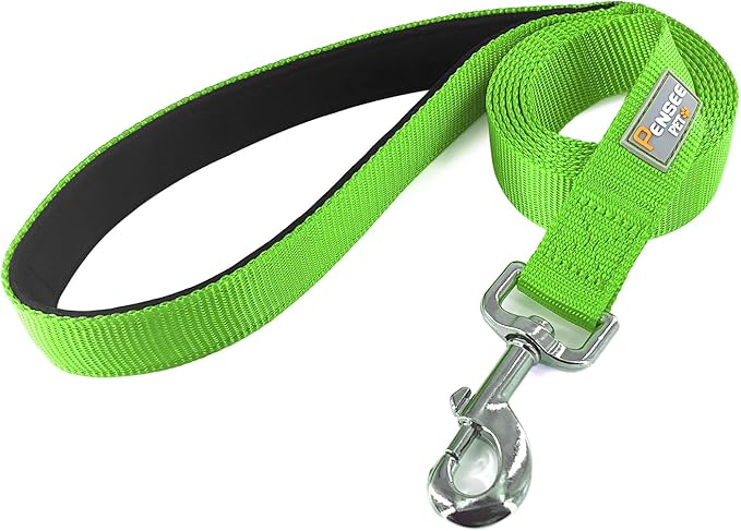 Basic Dog Leashes 6 FT Padded Handle Nylon Dogs Leashes for Small Dogs Green