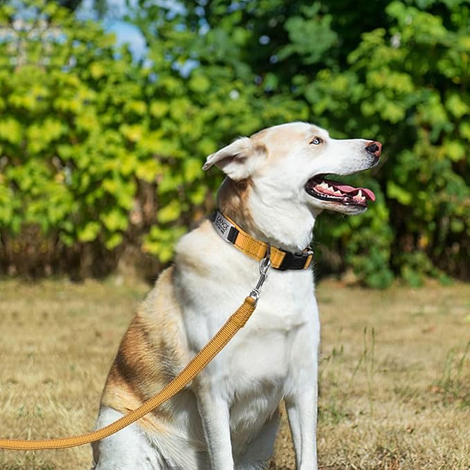 Joytale Personalized Dog Collars with Engraved Name Plate, Silent No Jingle Custom Nylon Collar with Fixed ID Tag, Reflective Soft Neoprene Padded Breathable for XLarge Dogs, Tan