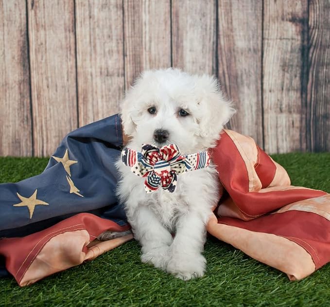 Elegant Tail US Flag Dog Collar - Cute Detachable Flower Collar, Adjustable for X-Large Dogs