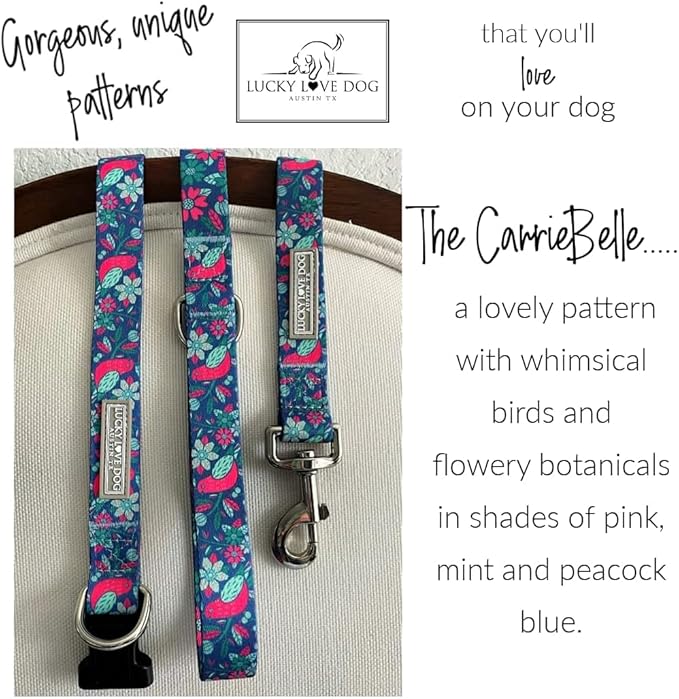 Lucky Love Dog - Easy Click Buckle Dog Collar with Leash Set Combo, Durable & Comfortable for Male & Female Dogs, Pet Collar for Medium Dogs, Secure Fit - Carriebelle Combo, Medium